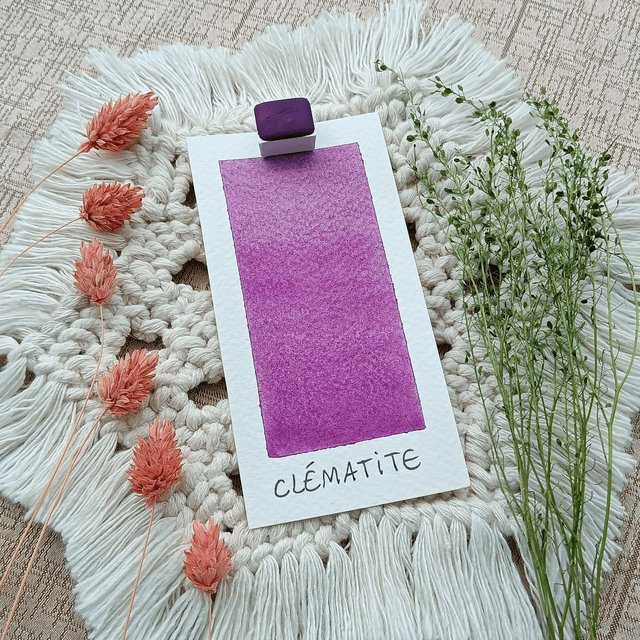 Clématite