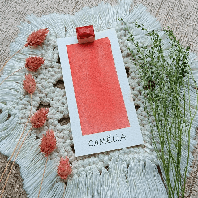 Camélia
