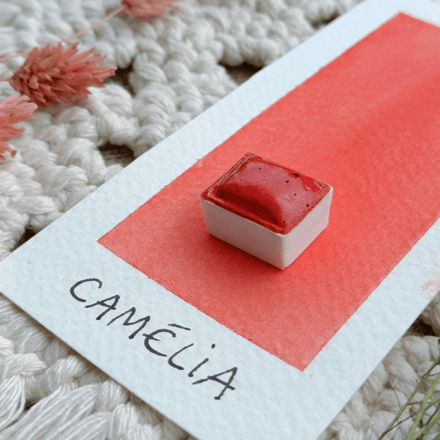 Camélia